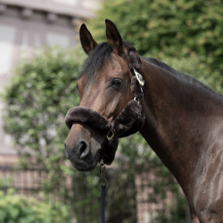 Cabezada de Cuadra con Piel de Cordero Tremblant B Vertigo Castaño Marrón