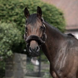 Cabezada de Cuadra con Piel de Cordero Tremblant B Vertigo Castaño Marrón