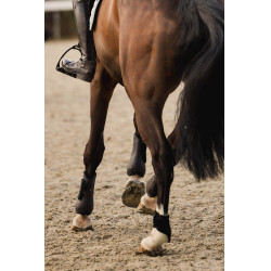 Horze Conjunto de Protectores de Tendones y Menudillos Armour Marrón oscuro Horze Conjunto de Protectores de Tendones y Menudillos Armour Marrón oscuro