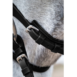 Cabezada Horze Weston Negro