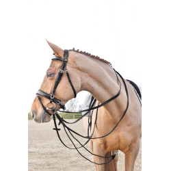 Riendas cuero / nilón típo alemanas Horze Sparta Negro Riendas cuero / nilón típo alemanas Horze Sparta Negro