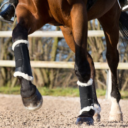 Protectores Horze Signature Protectores Horze Signature