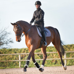 Protectores Horze Signature Protectores Horze Signature