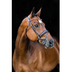 Cabezada Anatómica Clermont Horze Cabezada Anatómica Clermont Horze