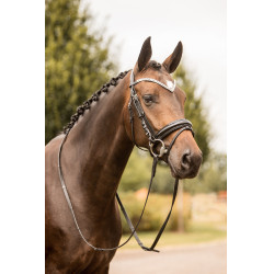 Cabezada Anatómica Grayson Horze Cabezada Anatómica Grayson Horze