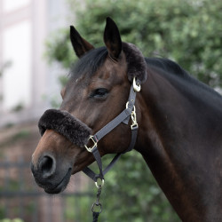 Cabezada de Cuadra con Piel de Cordero Laurier B Vertigo Castaño Marrón