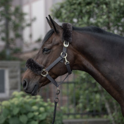 Cabezada de Cuadra con Piel de Cordero Laurier B Vertigo Castaño Marrón