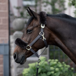 Cabezada de Cuadra con Piel de Cordero Laurier B Vertigo Castaño Marrón