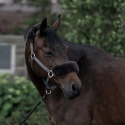 Cabezada de Cuadra con Piel de Cordero Laurier B Vertigo Castaño Marrón