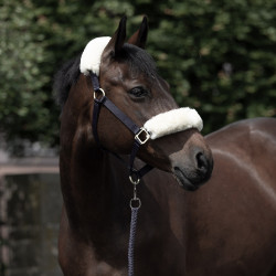 Cabezada de Cuadra con Piel de Cordero Laurier B Vertigo Azul marino oscuro