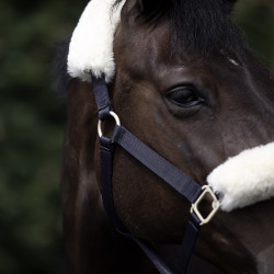 Cabezada de Cuadra con Piel de Cordero Laurier B Vertigo Azul marino oscuro