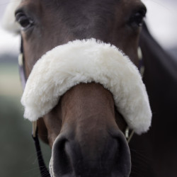 Cabezada de Cuadra con Piel de Cordero Laurier B Vertigo Azul marino oscuro