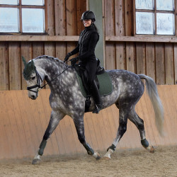 Mantilla de Doma Adepto Horze Escarabajo verde caqui Mantilla de Doma Adepto Horze Escarabajo verde caqui