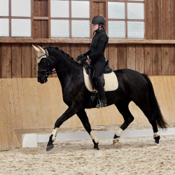 Mantilla de Doma Adepto Horze SBR Blanco Mantilla de Doma Adepto Horze SBR Blanco