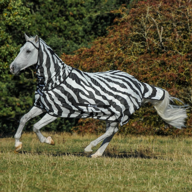 Cubre-moscas Bucas Buzz-Off Zebra con cuello completo