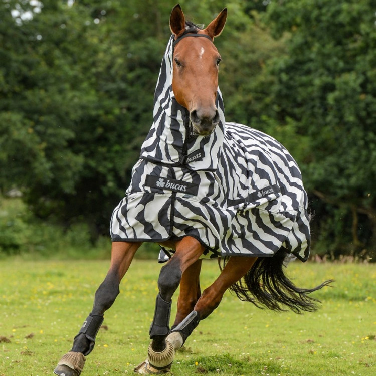 Manta antimoscas Bucas Sweet-itch Zebra