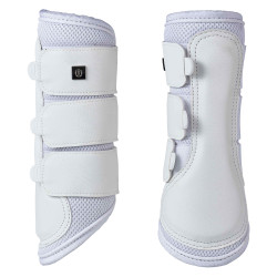Gueteras Imperial Riding Cloud Dancer
