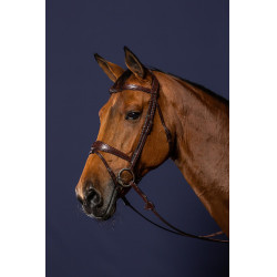 Brida Muserola Combinada Anatómica Dy'on New English Collection Castaño Marrón