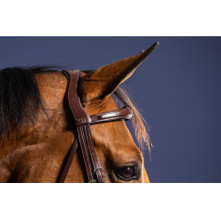 Brida Muserola Combinada Anatómica Dy'on New English Collection Castaño Marrón