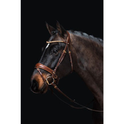 Brida Marrakesh HKM Brida Marrakesh HKM