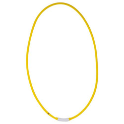 Collar luminoso para caballos LED HKM