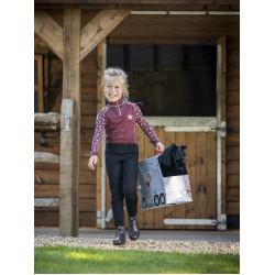 Camión de cartón para juguete pony LeMieux