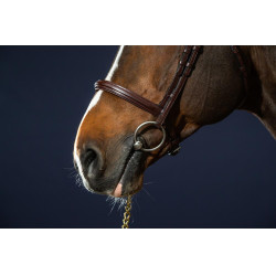 Brida Muserola Combinada Dy'on Colección New English Castaño Marrón