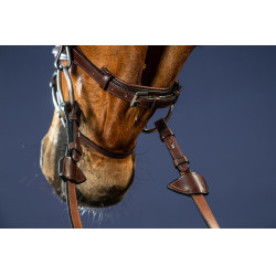 Brida Muserola Combinada Dy'on Colección New English Castaño Marrón