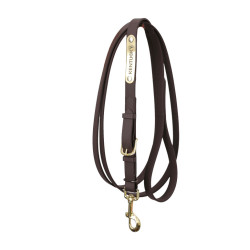 Lejos de presentación Kentucky Castaño Marr&amp;oacute;n