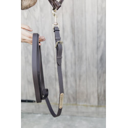 Lejos de presentación Kentucky Castaño Marrón Lejos de presentación Kentucky Castaño Marrón