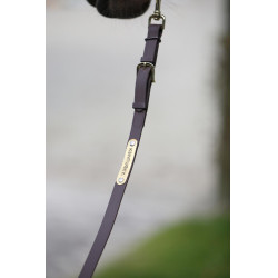 Lejos de presentación Kentucky Castaño Marrón Lejos de presentación Kentucky Castaño Marrón