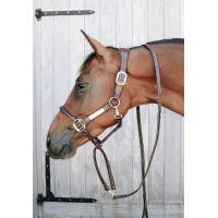 Longe y cadena de presentación de cuero Kentucky Castaño Marrón Longe y cadena de presentación de cuero Kentucky Castaño Marrón