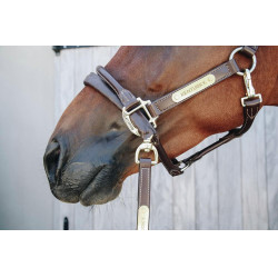 Longe y cadena de presentación de cuero Kentucky Castaño Marrón Longe y cadena de presentación de cuero Kentucky Castaño Marrón