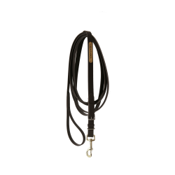 Lejos de presentación estándar Kentucky Castaño Marrón