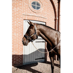 Longe Presentación de Cuero Kentucky Castaño Marrón