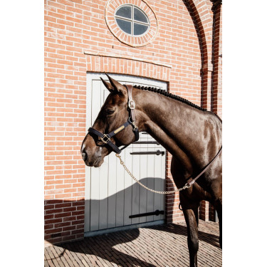 Longe Presentación de Cuero Kentucky Castaño Marrón