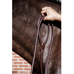 Longe Presentación de Cuero Kentucky Castaño Marrón