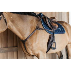 Pechopetral de 5 puntos con elásticos D Collection Dy'on Castaño Marrón