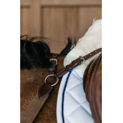 Pechopetral de 5 puntos con elásticos New English Collection Dy'on Castaño Marrón Pechopetral de 5 puntos con elásticos New English Collection Dy'on Castaño Marrón