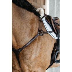 Pechopetral de 5 puntos con elásticos New English Collection Dy'on Castaño Marrón Pechopetral de 5 puntos con elásticos New English Collection Dy'on Castaño Marrón