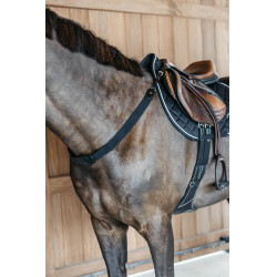 Pechopetral elástico New English Collection Dy'on