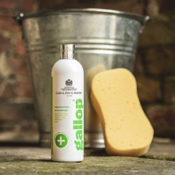 Champú antibacteriano Gallop® Carr & Day & Martin Champú antibacteriano Gallop® Carr & Day & Martin