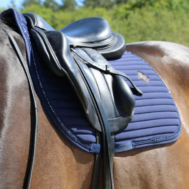 Mantilla Pearls jumping Kentucky Mantilla Pearls jumping Kentucky
