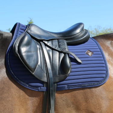 Mantilla Pearls jumping Kentucky Mantilla Pearls jumping Kentucky