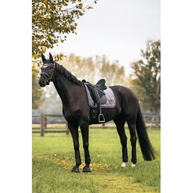 Mantilla Back on Track Haze Collection