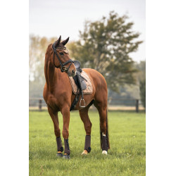 Mantilla Back on Track Haze Collection