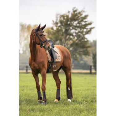 Mantilla Back on Track Haze Collection