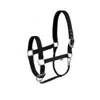 Cabezada de cuadra Hardwick B Vertigo Negro
