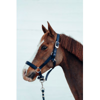 Cabezada de cuadra Hardwick B Vertigo Azul marino oscuro