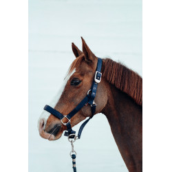 Cabezada de cuadra Hardwick B Vertigo Azul marino oscuro